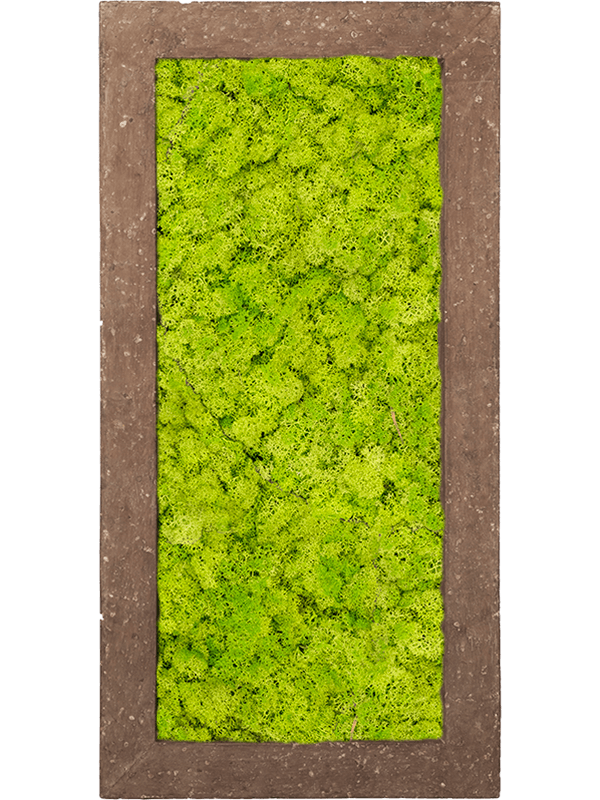 Polystone Rock 100% Reindeer moss (Spring green) (↔100 cm ↕50 cm)