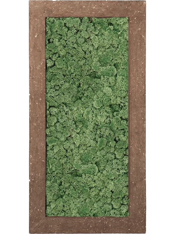 Polystone Rock 100% Reindeer Moss (Moss green) (↔100 cm ↕50 cm)