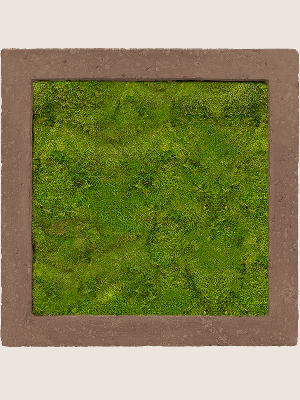 Polystone Rock 100% Flat moss (↔50 cm ↕50 cm)