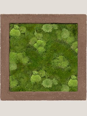 Polystone Rock 30% Ball- and 70% Flat moss (↔50 cm ↕50 cm)