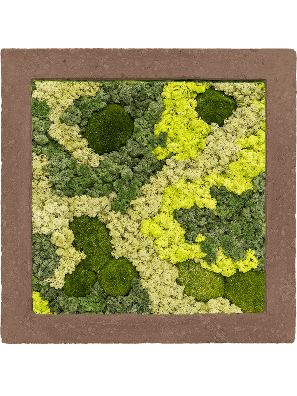 Polystone Rock 30% Ball moss 70% Reindeer moss (Mix) (↔50 cm ↕50 cm)