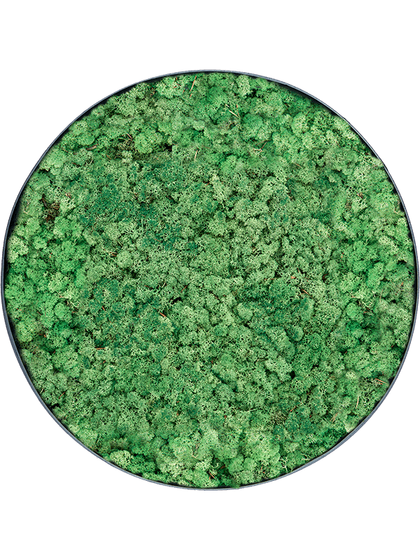 100% Reindeer (Grass Green) (⌀30)