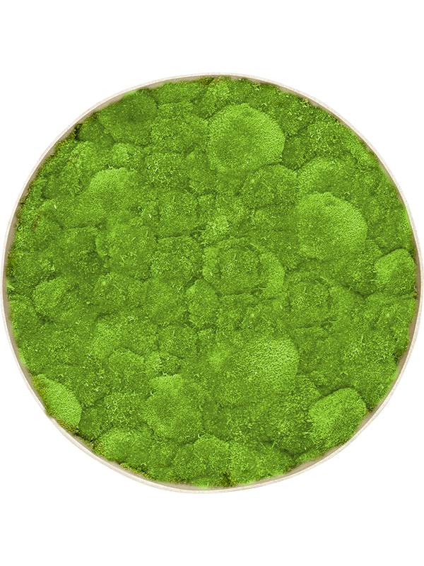 100% Ball moss (⌀30)