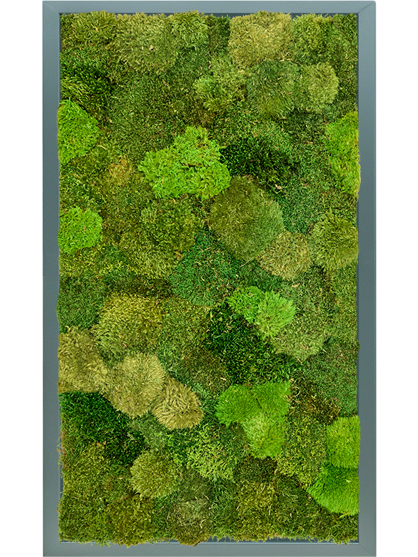 20% Flat and 80% Exclusive Moss  (↔60 ↕100)