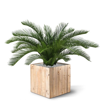 Mākslīgā Cycas palma Deluxe (60 cm)