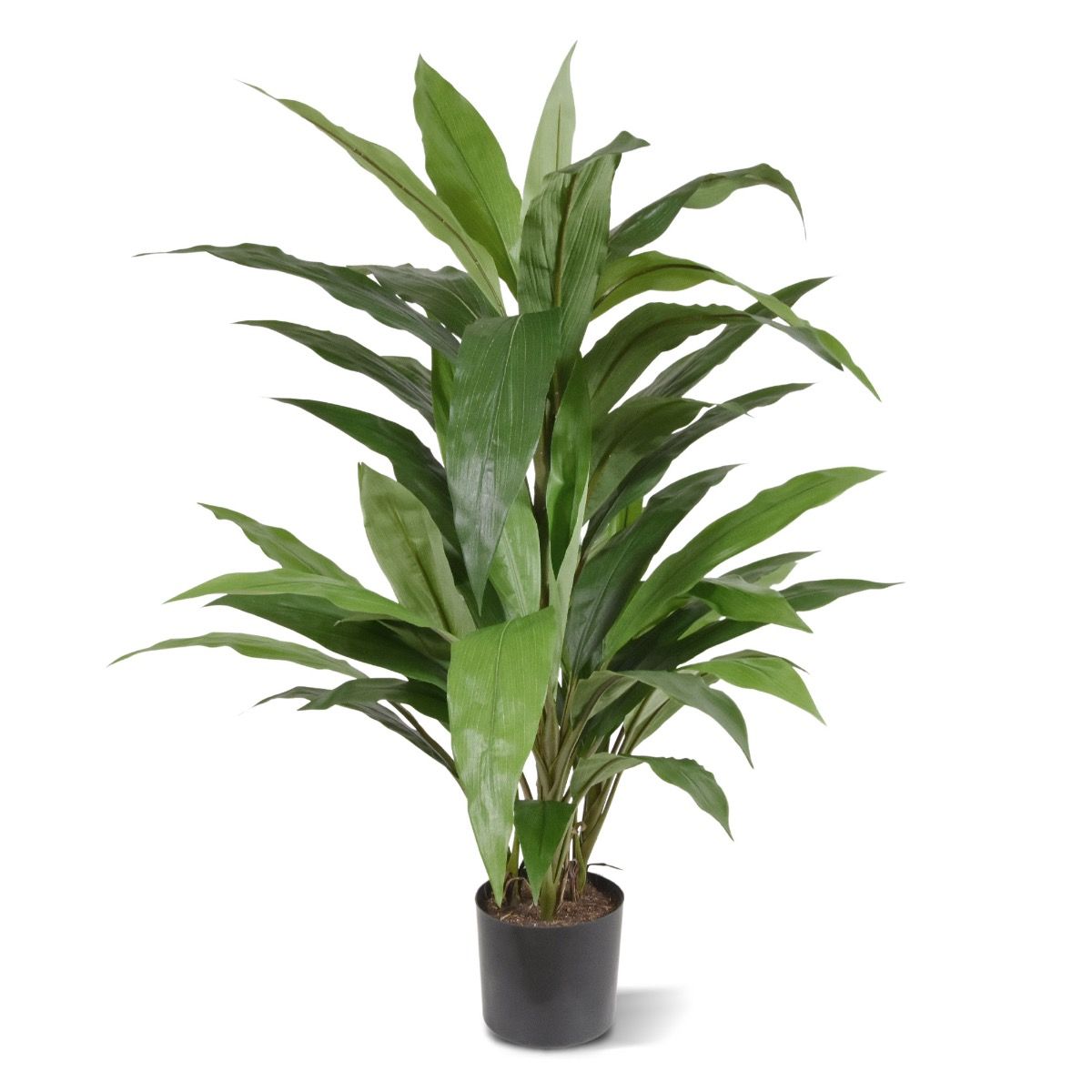 Dirbtinis augalas Dracena 80 cm