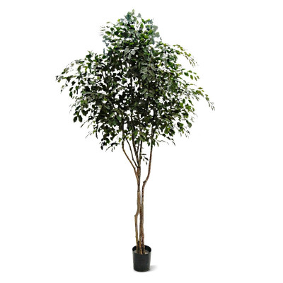Ficus Exotica kunstboom 330 cm