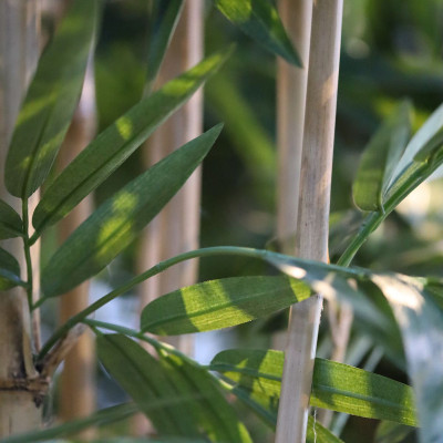 Bambu (210 cm)