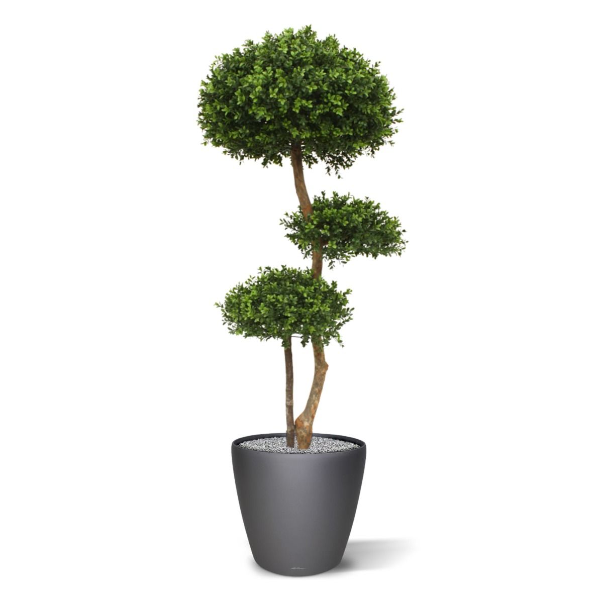 Arbre artificiel Boule de Buis (140 cm) UV