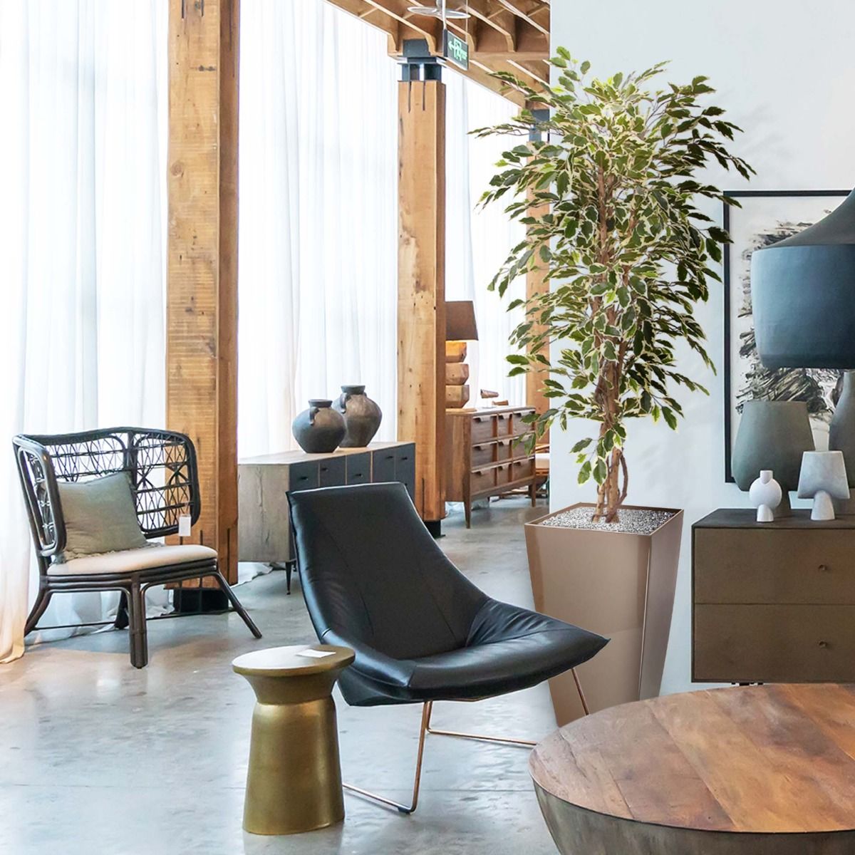 Dirbtinis medis Fikusas 150 cm