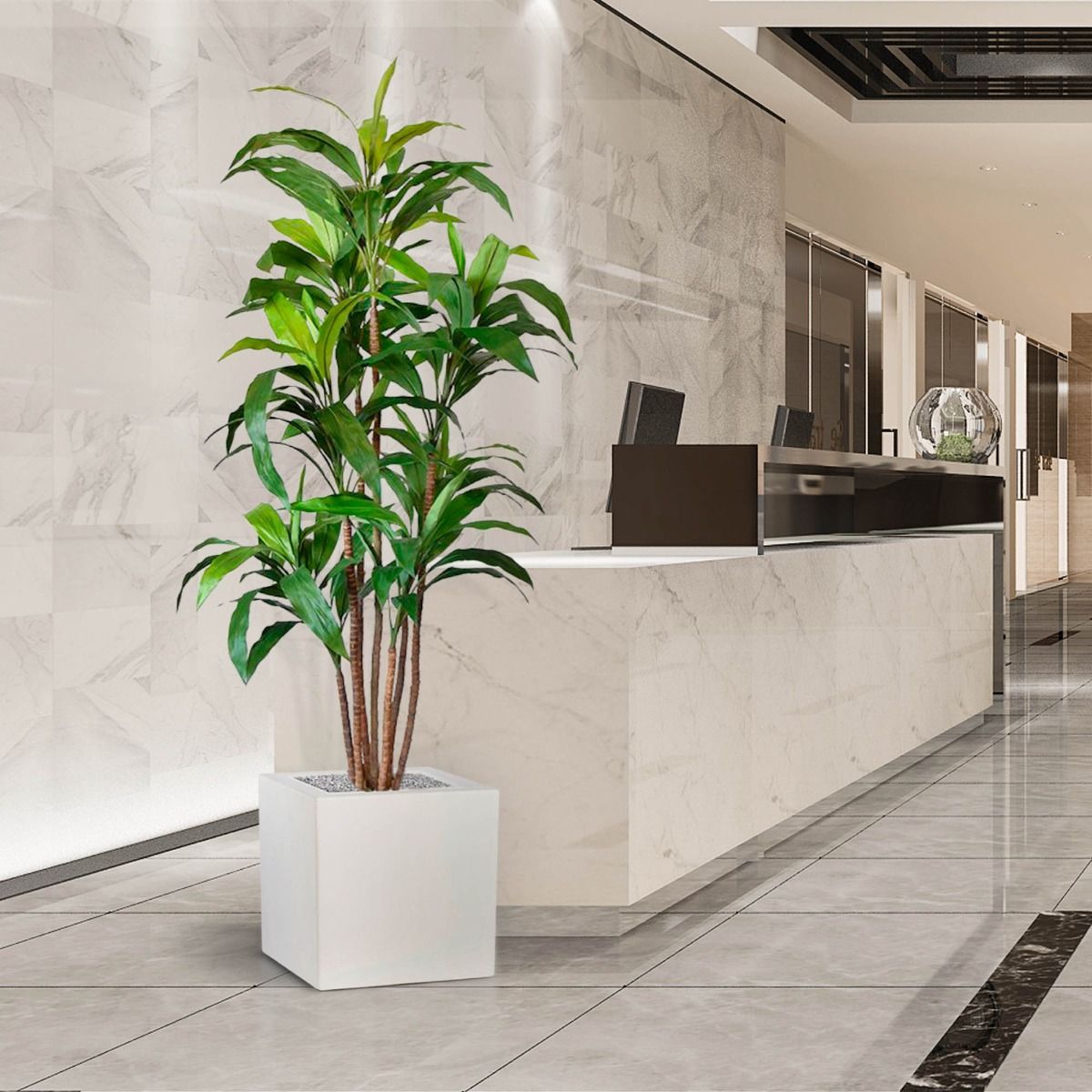 Planta artificial Draceana Fragrans XL (170 cm)