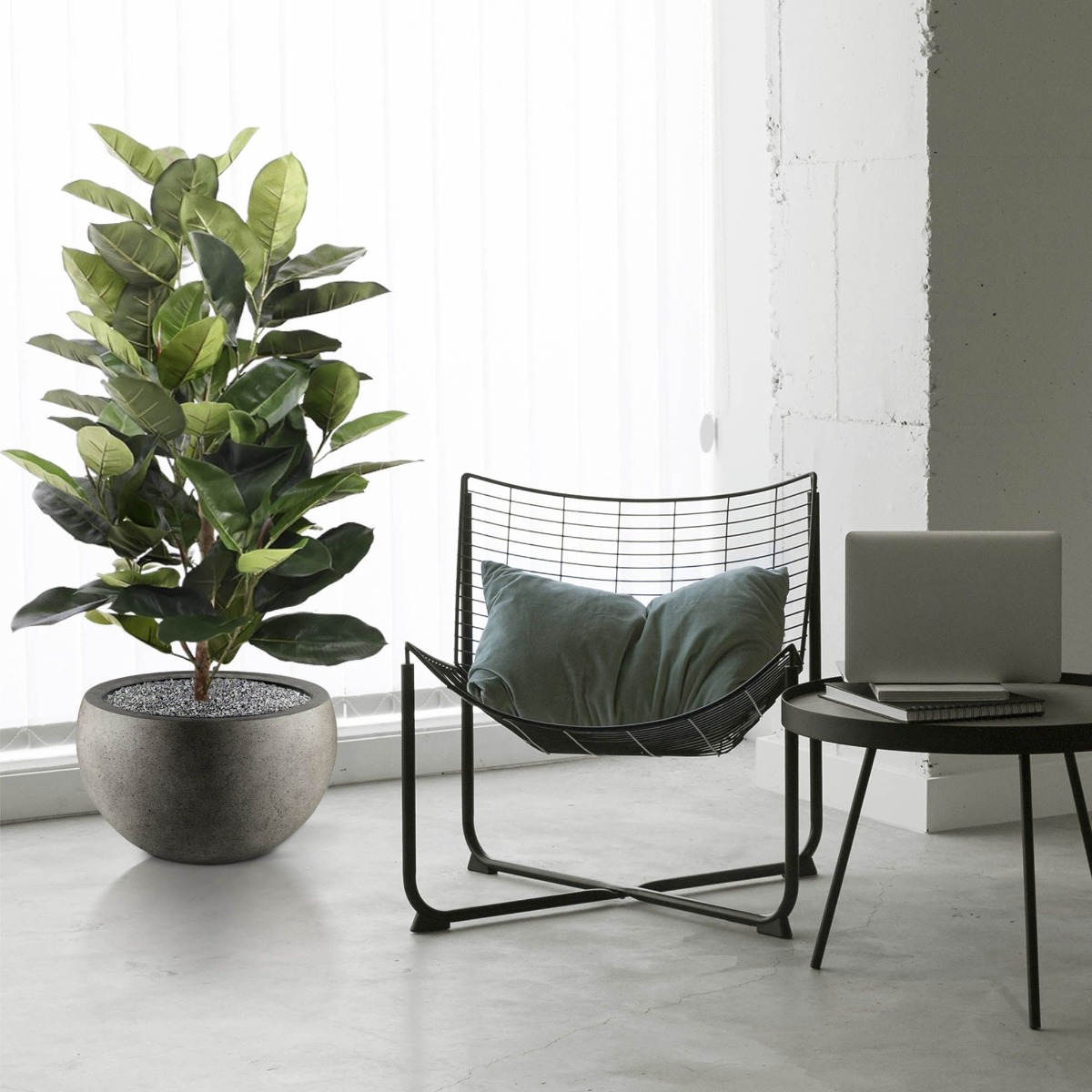 Dirbtinis augalas Stambialapis Fikusas 120 cm