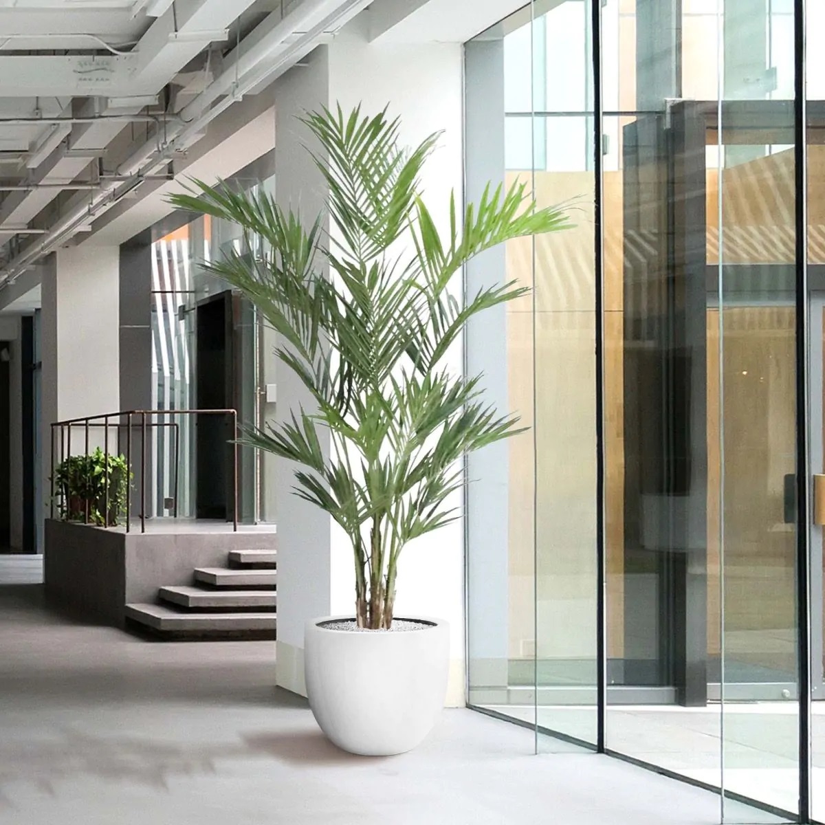 Dirbtinis medis Palmė Forsterio Hovėja 260 cm