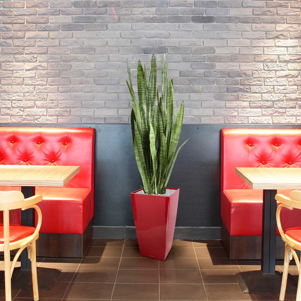 Pianta artificiale Sanseveria (130 cm)