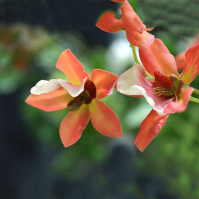 Keinotekoinen Macara Orchid -kimppu 80 cm oranssi