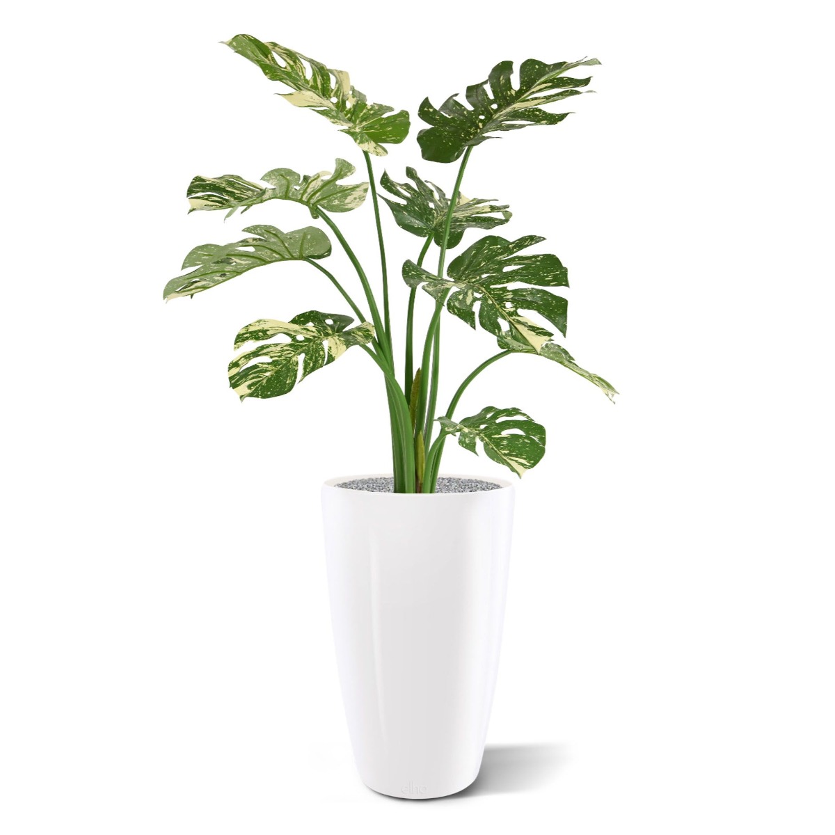 Kunstplant Monstera (95 cm)