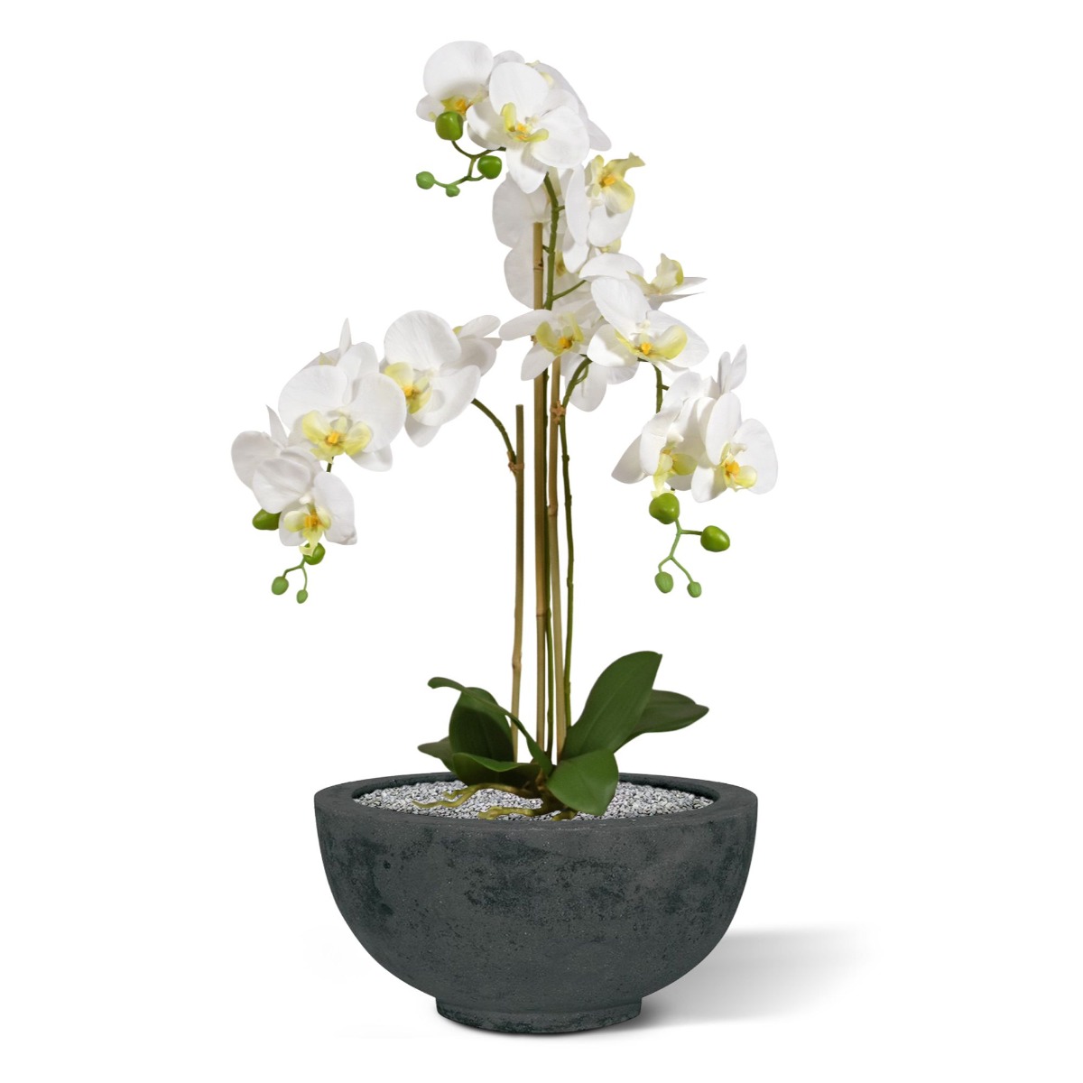 Kunstbloem Phalaenopsis Orchidee (75 cm)