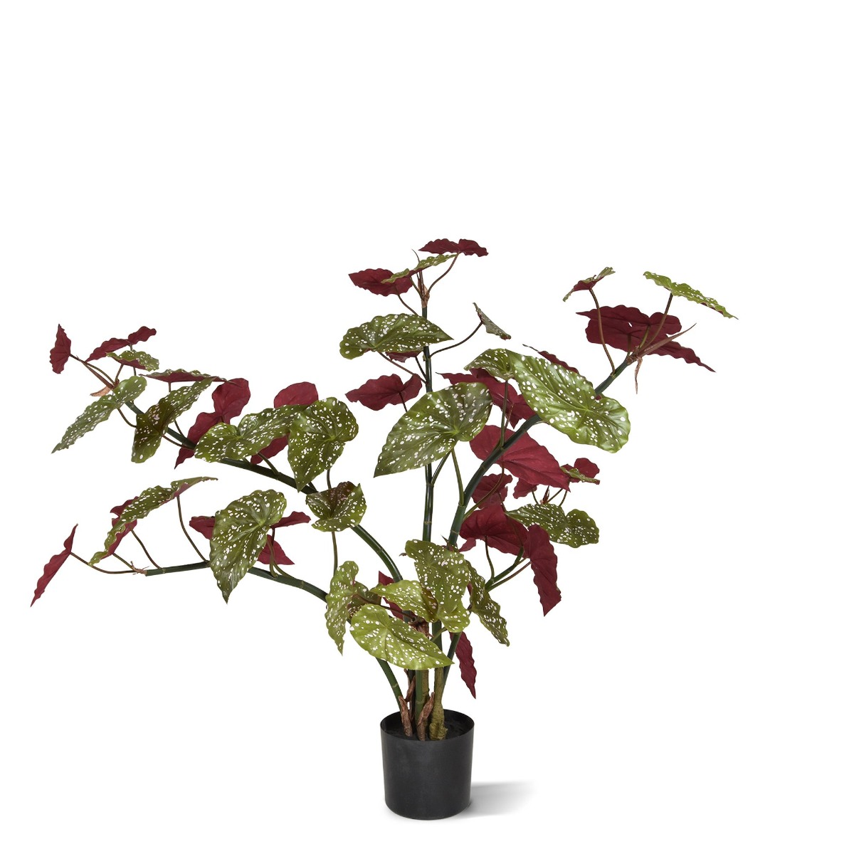 Mākslīgās Maculata begonija puķu podā (110 cm) Mākslīgās Maculata begonija puķu podā (110 cm)