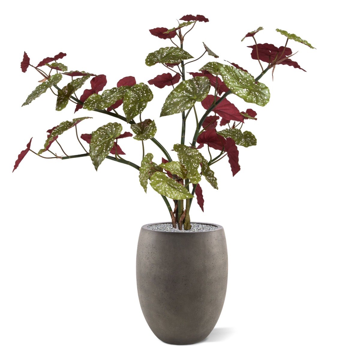 Pianta artificiale Begonia maculata (110 cm)