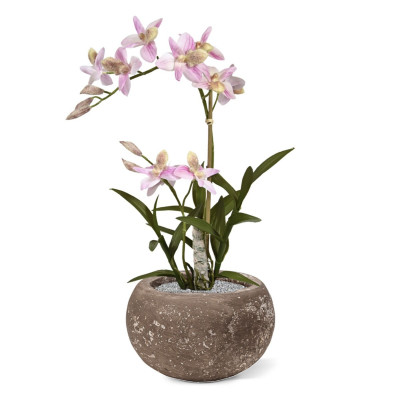 Orkidea (50 cm)