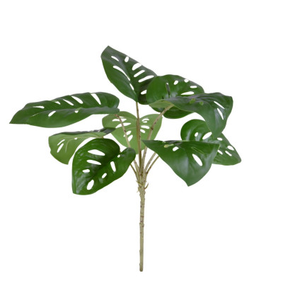 Monstera (30 cm) 