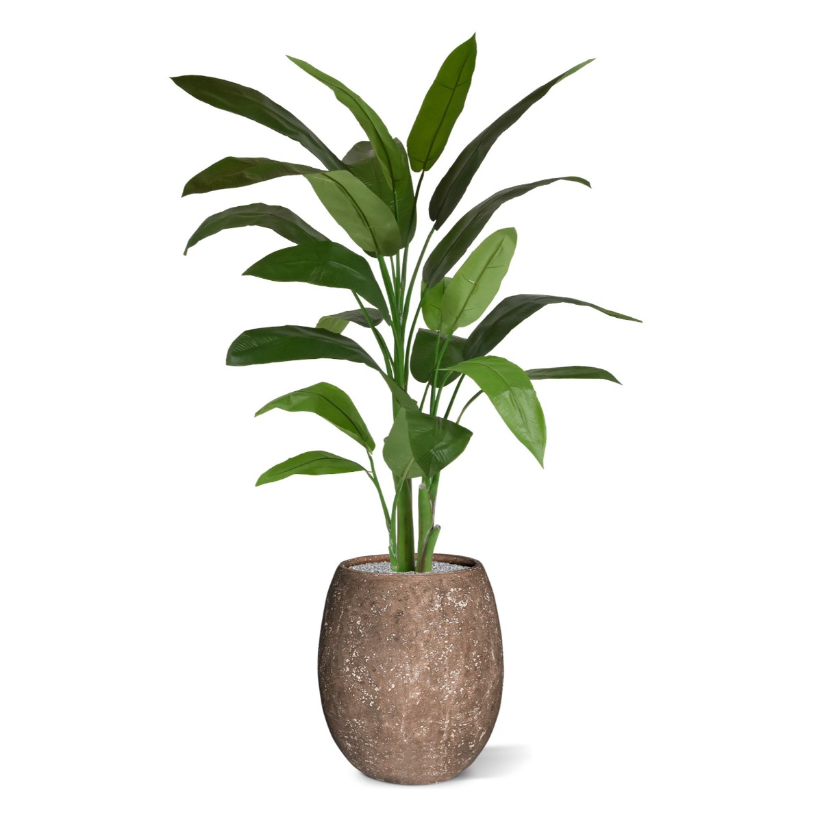 Dirbtinis medis Helikonija (170 cm)