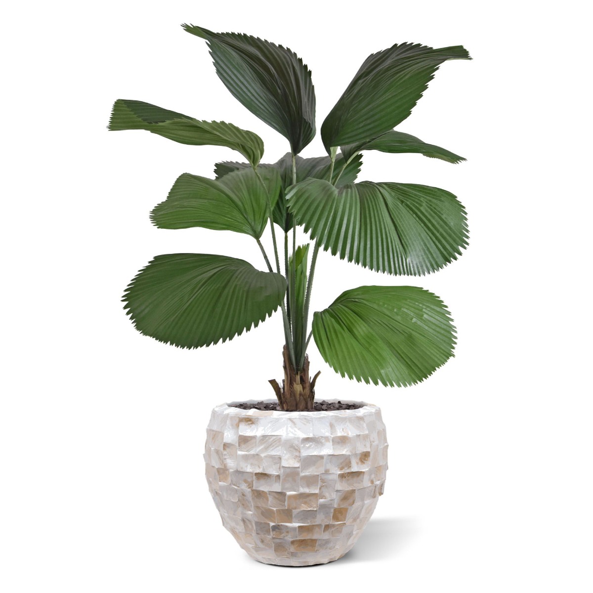 Dirbtinis medis Palmė Likuala (115 cm)