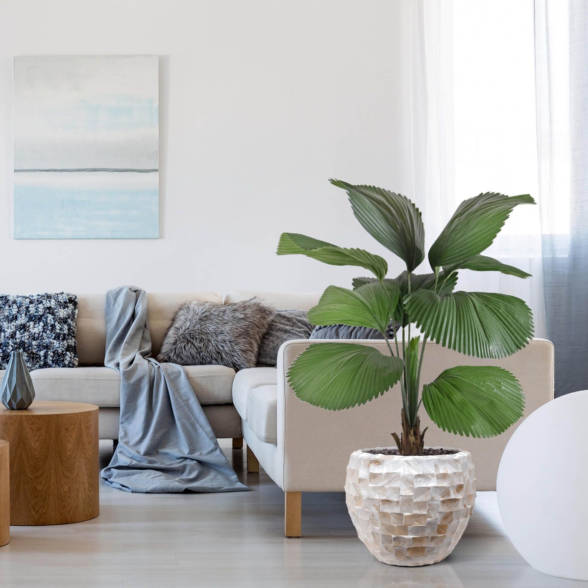 Dirbtinis medis Palmė Likuala (115 cm)