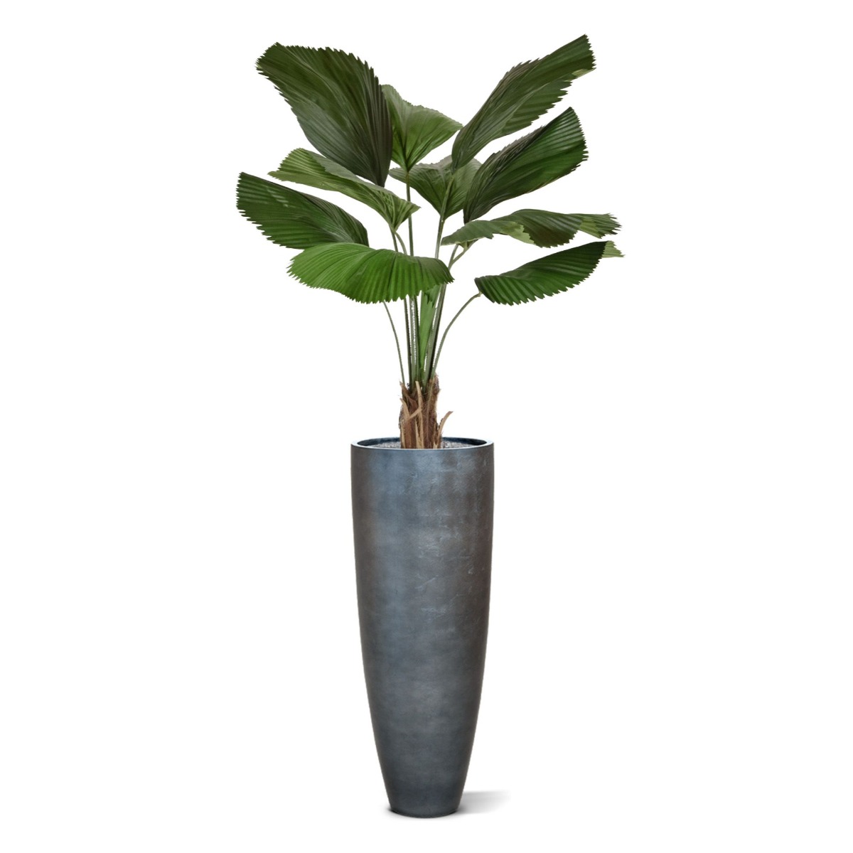 Dirbtinis medis Palmė Likuala (140 cm)