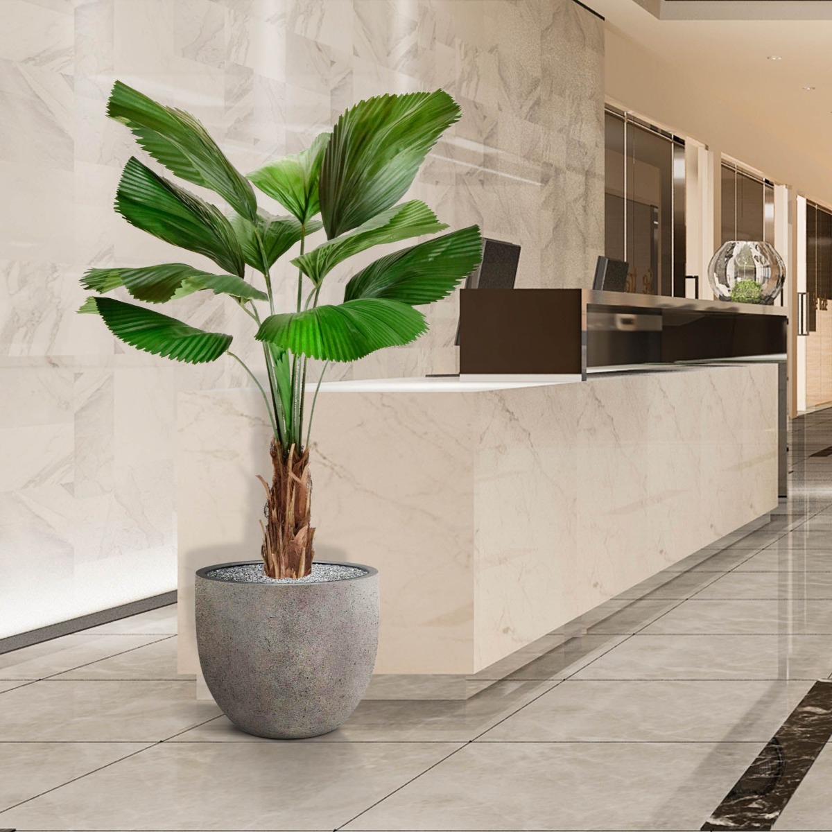 Dirbtinis medis Palmė Likuala (140 cm)