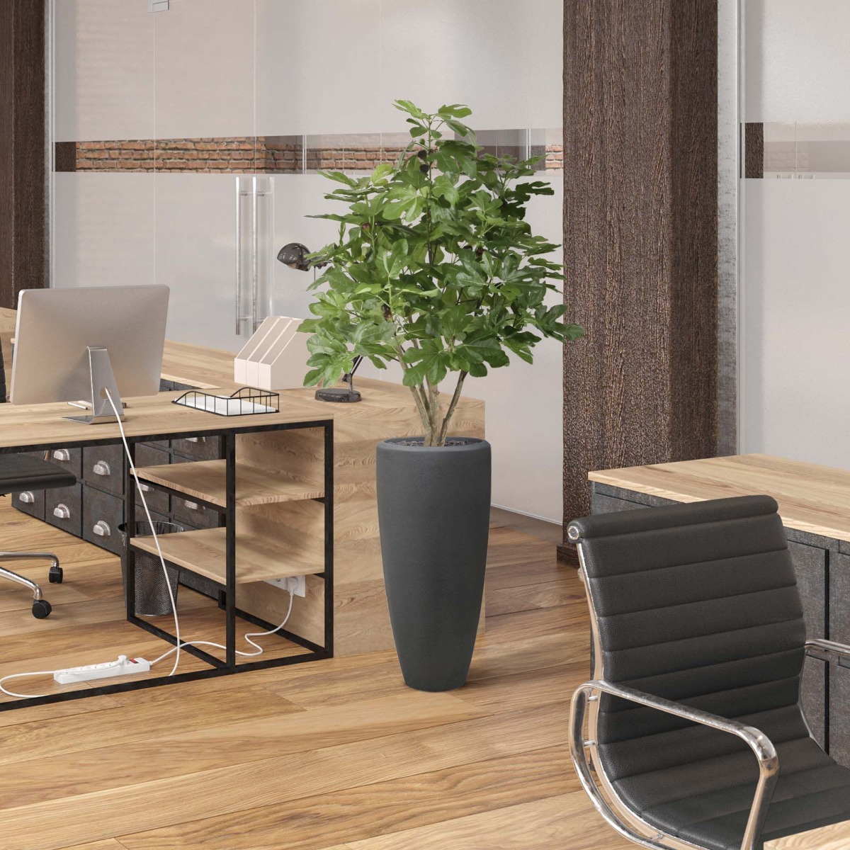 Dirbtinis medis Fikusas (120 cm)