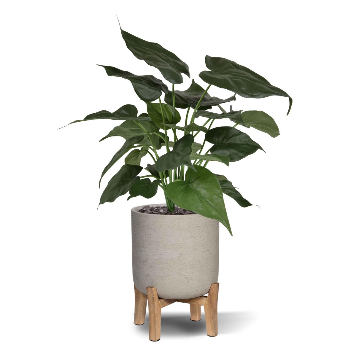 Kunstplant Alocasia Cucullata (50 cm)