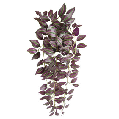 Tradescantia (45 cm)