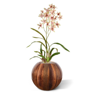 Orchidėja (80 cm) 
