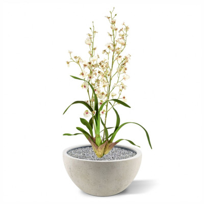 Orchidėja (80 cm) 