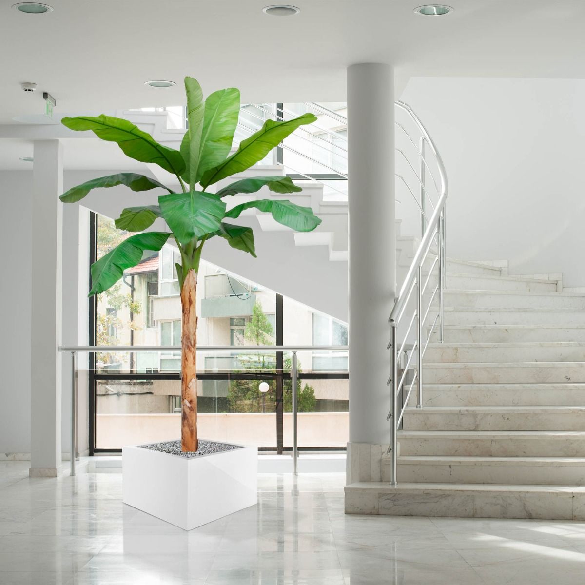 Dirbtinis medis Bananmedis (300 cm)