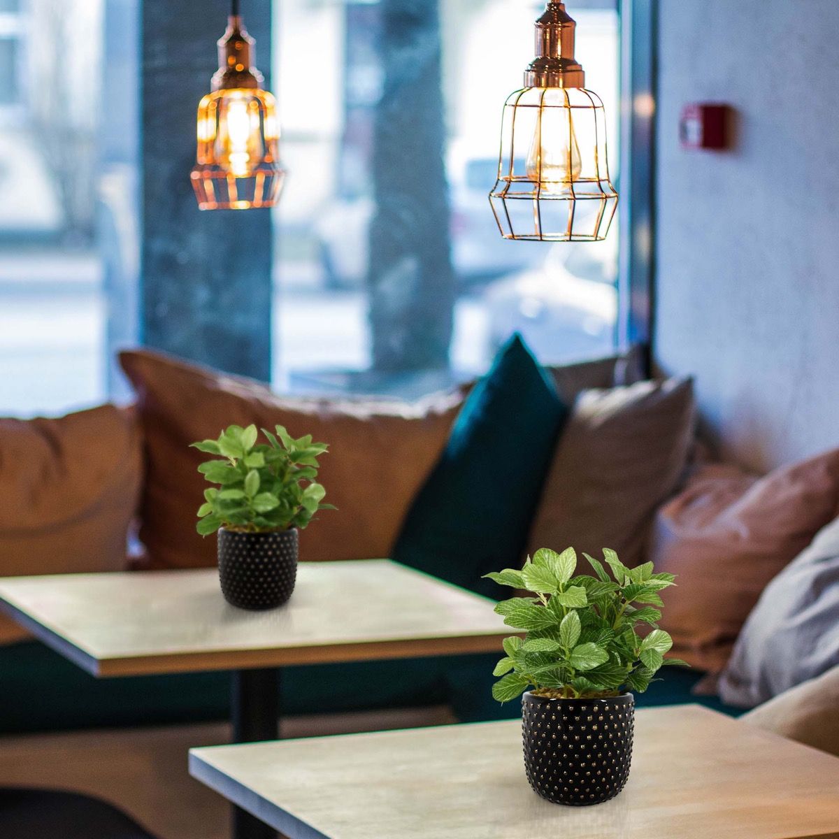 Искусственная Фиттония (18 см)