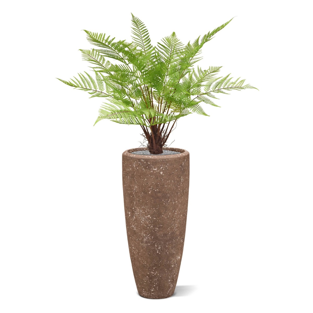 Pianta artificiale Felce (80 cm)