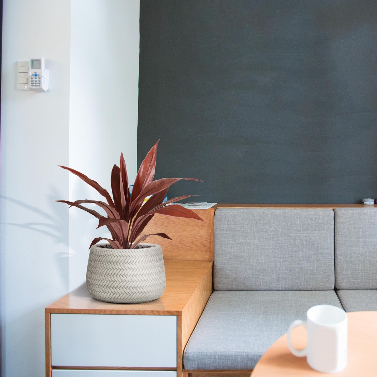 Dirbtinis augalas Dracena (60 cm)