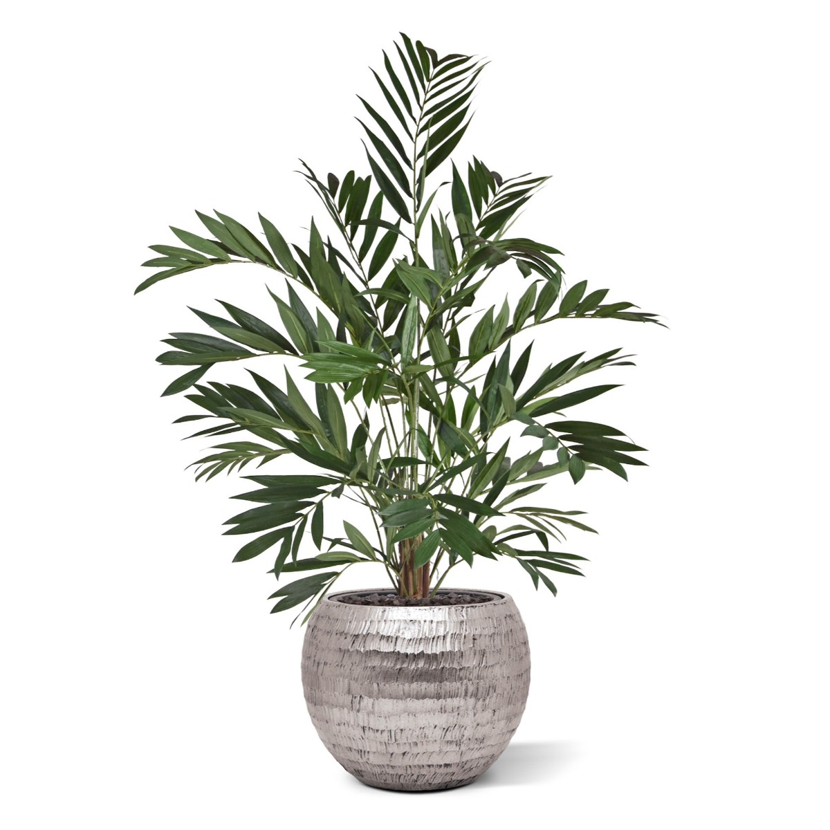 Dirbtinis medis Chamedorėja Palmė (120 cm)