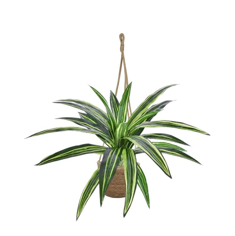 Dirbtinis augalas Dracena (40 cm)
