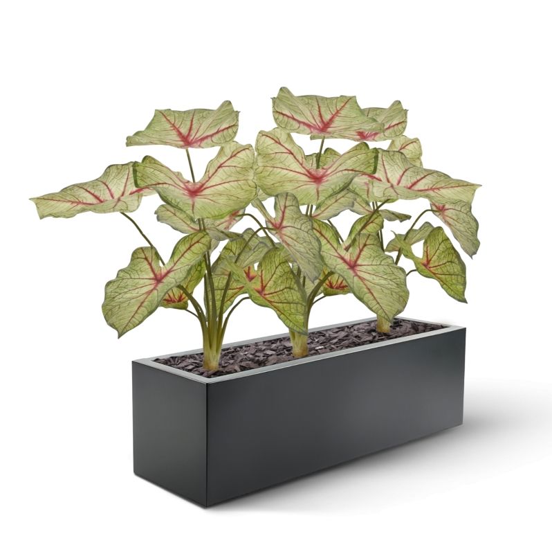 Artificial Caladium (45 cm)