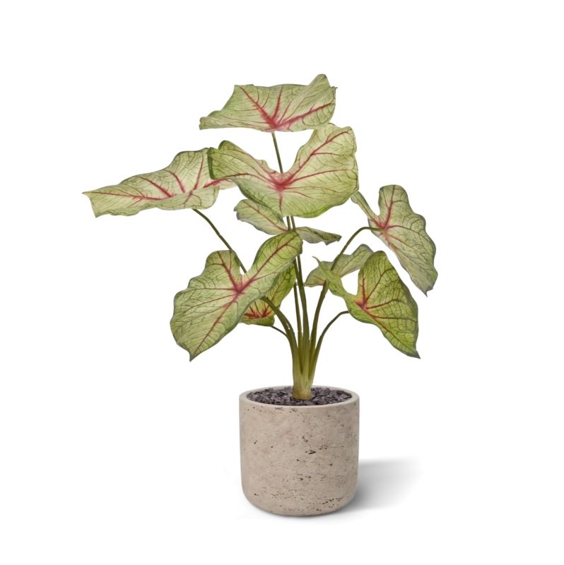 Artificial Caladium (45 cm)