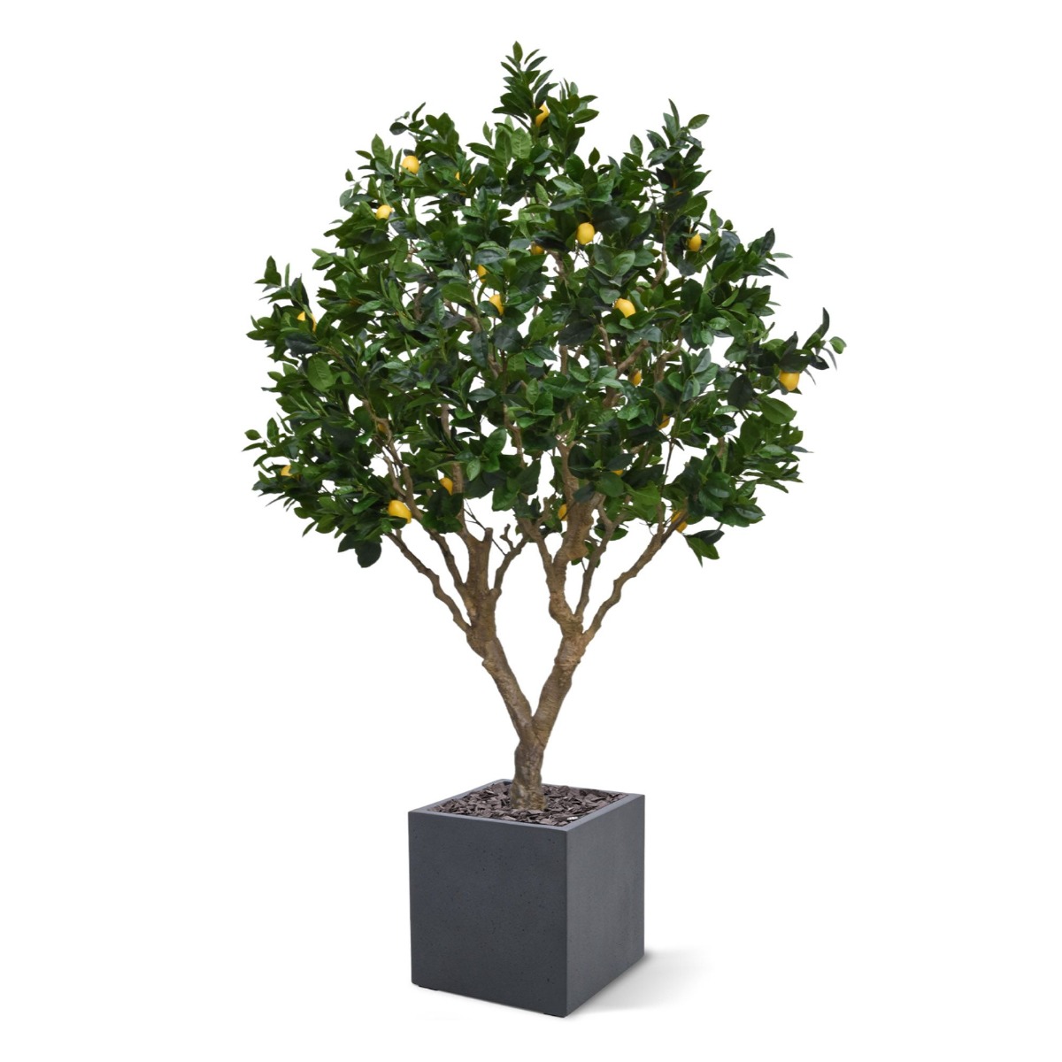 Dirbtinis medis Citrinmedis (250 cm)