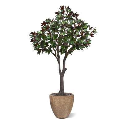 Magnolija XL (300 cm)