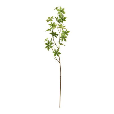 Enkianthus-oksa (85 cm)