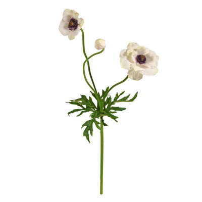 Anemone-haara (60 cm)