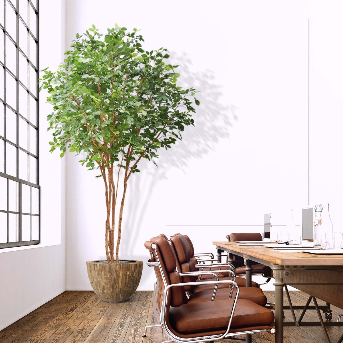 Dirbtinis medis Paprastasis Bukas (350 cm) FR