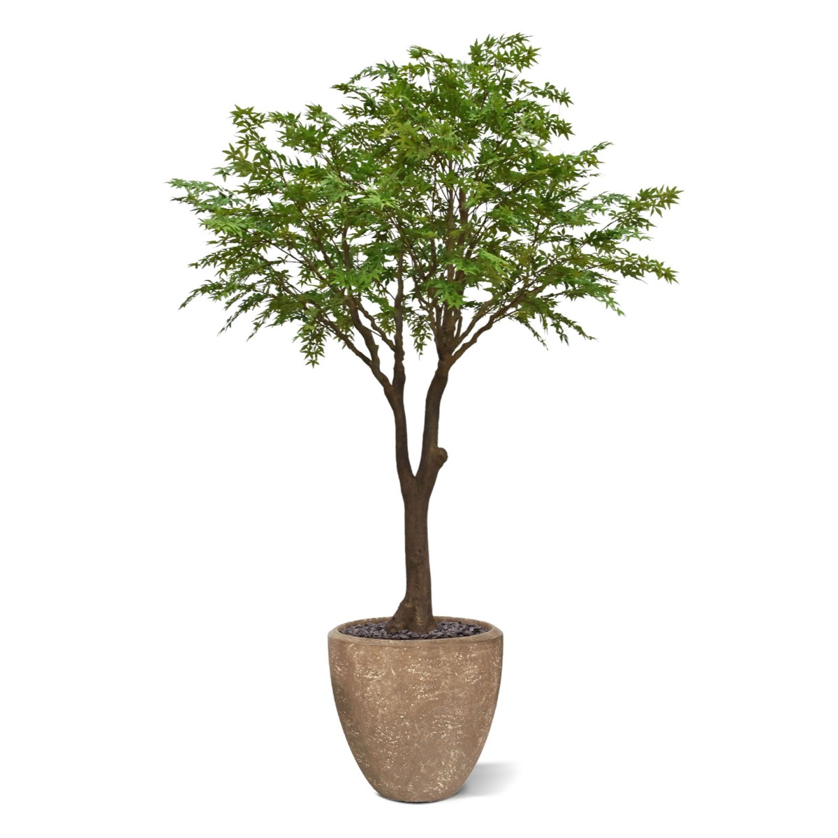 Dirbtinis medis Klevas XL (300 cm)