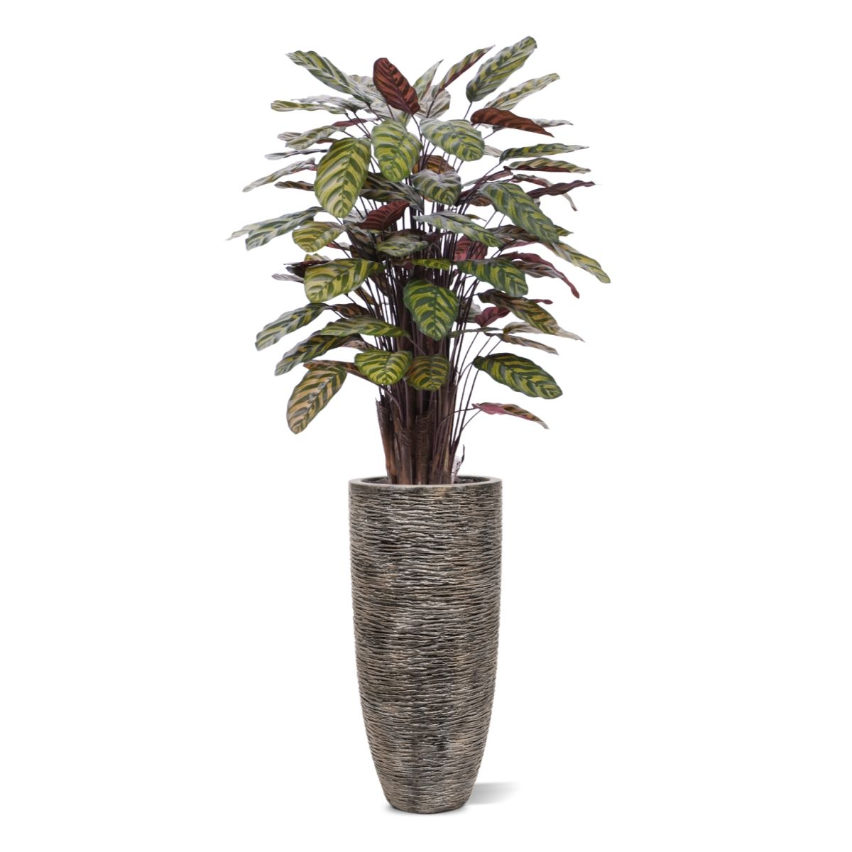 Искусственная Калатея (115 см)